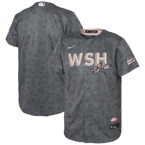 Washington Nationals Nike Toddler 2022 City Connect Replica Jersey - Gray