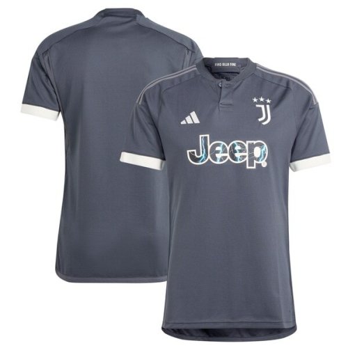 Juventus adidas 2023/24 Third Replica Jersey - Gray