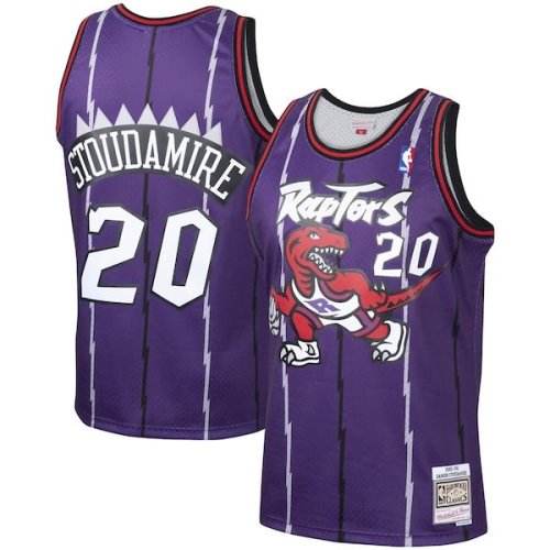 Damon Stoudamire Toronto Raptors Mitchell & Ness 1995/96 Hardwood Classics Swingman Jersey - Purple