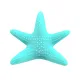Pearlsvibe Starfish - Invisible Wearable Panties Vibrator Portable Clitoral Stimulator With Wireless Remote Control