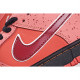 Concepts x Nike SB Dunk Low    