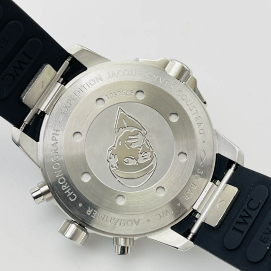 IWC marine watch