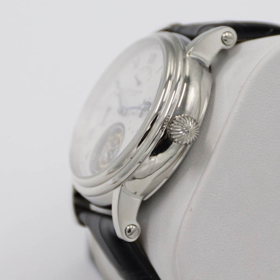 Patek Philippe Function Series Watch Diameter: 42mm