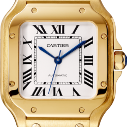 CARTIER santos 18kt Yellow Gold Men's WatchItem -WGSA0007(AAAAA)