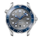 DIVER 300M CO‑AXIAL MASTER CHRONOMETER 42 MM-210.32.42.20.06.001