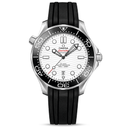 DIVER 300M CO‑AXIAL MASTER CHRONOMETER 42 MM-210.32.42.20.04.001