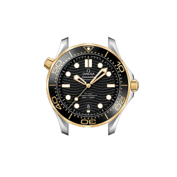 DIVER 300M CO‑AXIAL MASTER CHRONOMETER 42 MM-210.22.42.20.01.001