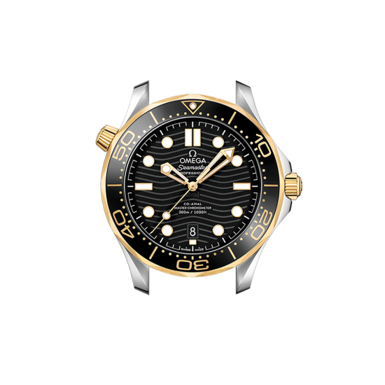 DIVER 300M CO‑AXIAL MASTER CHRONOMETER 42 MM-210.22.42.20.01.001