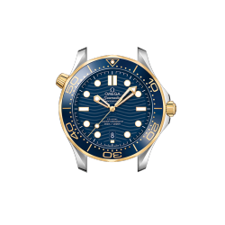 DIVER 300M CO‑AXIAL MASTER CHRONOMETER 42 MM-210.22.42.20.03.001