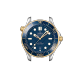 DIVER 300M CO‑AXIAL MASTER CHRONOMETER 42 MM-210.22.42.20.03.001