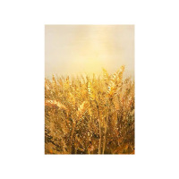 Golden Harvest Wheat Field Decorative Painting: Luxurious Entryway Wall Art, Hand-Painted Abstract Art for Living Room