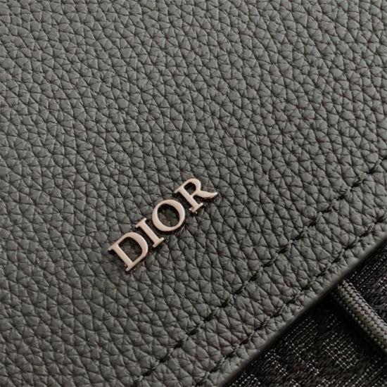 Dior Saddle双肩包
