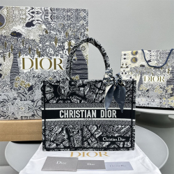 Dior BookTote Plan de Paris 巴黎地图 小号