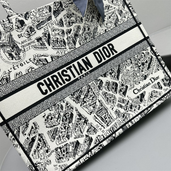 Dior BookTote Plan de Paris 巴黎地图 大号