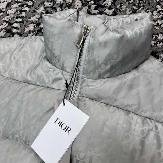 Dior Oblique 印花羽绒夹克