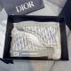 Dior B23
