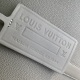 Louis Vuitton M21420