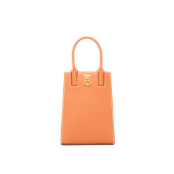 Grainy Leather Micro Frances Tote