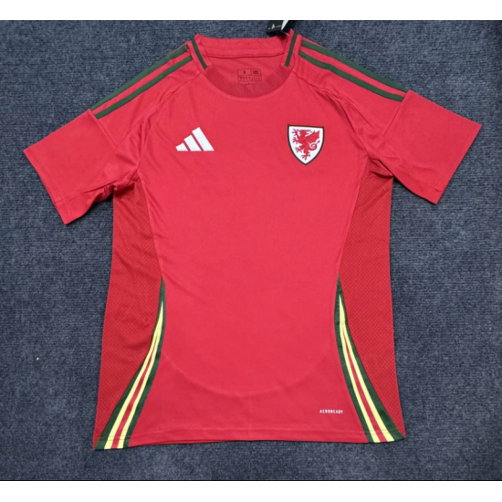 Camiseta 1ª equipación del Gales Eurocopa 2024