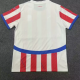 Camiseta 1ª equipación del Paraguay America Copa 2024