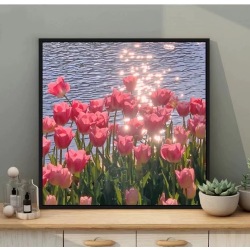 Tulip paintings
